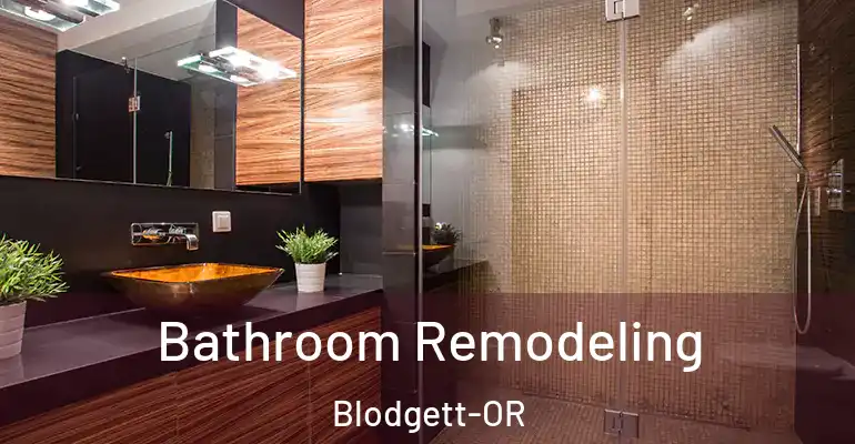 inner Bathroom imggen Bathroom Remodeling Blodgett-OR