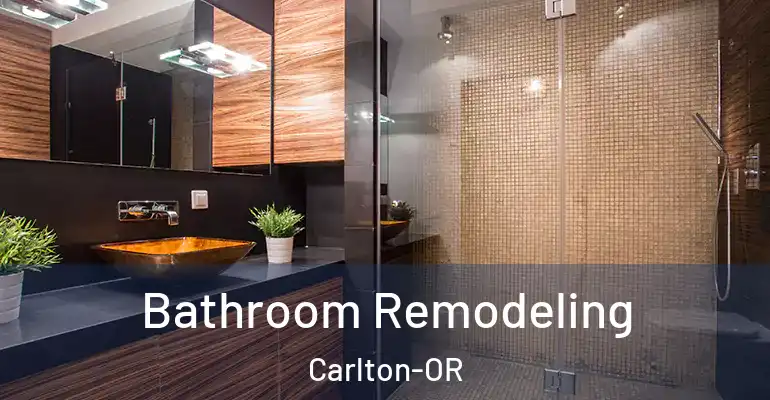 inner Bathroom imggen Bathroom Remodeling Carlton-OR