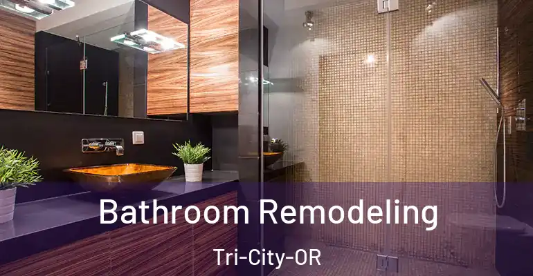 inner Bathroom imggen Bathroom Remodeling Tri-City-OR