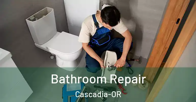 inner Bathroom imggen Bathroom Repair Cascadia-OR