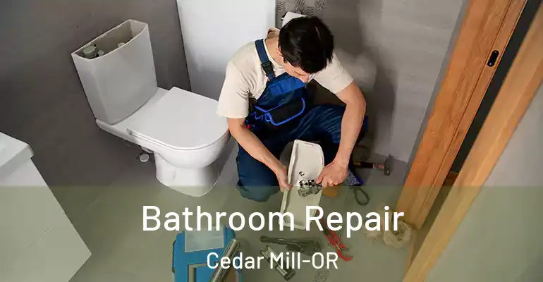 inner Bathroom imggen Bathroom Repair Cedar Mill-OR