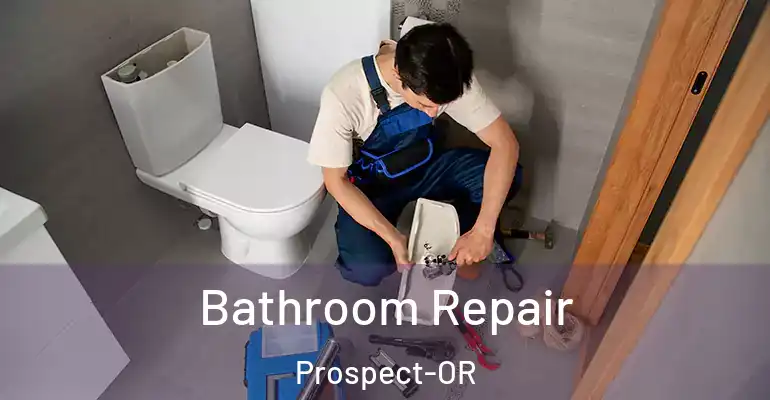 inner Bathroom imggen Bathroom Repair Prospect-OR