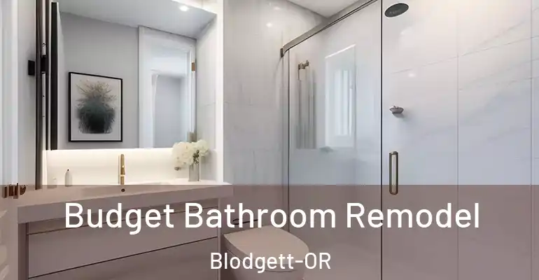 inner Bathroom imggen Budget Bathroom Remodel Blodgett-OR
