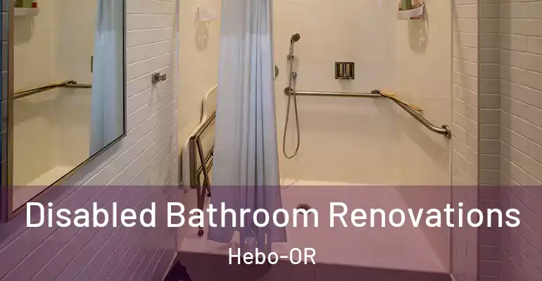 inner Bathroom imggen Disabled Bathroom Renovations Hebo-OR