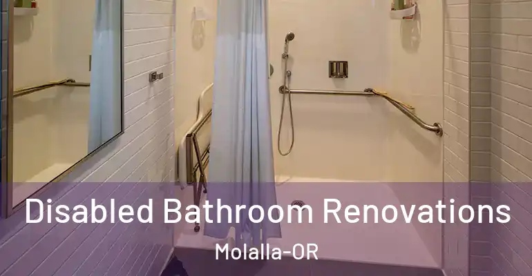 inner Bathroom imggen Disabled Bathroom Renovations Molalla-OR
