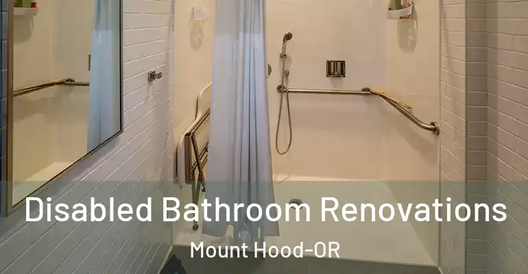 inner Bathroom imggen Disabled Bathroom Renovations Mount Hood-OR
