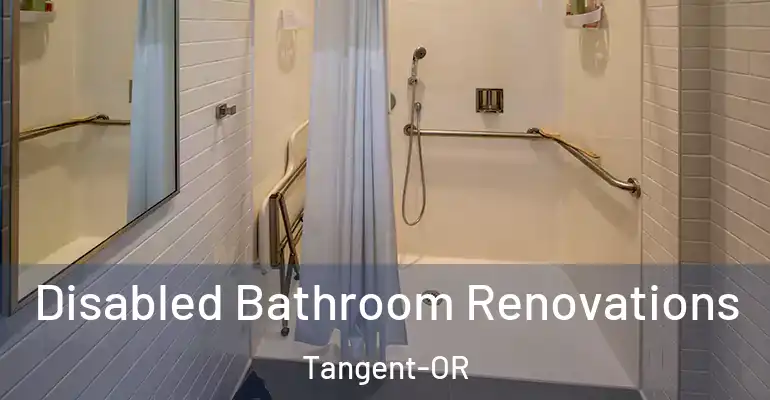 inner Bathroom imggen Disabled Bathroom Renovations Tangent-OR