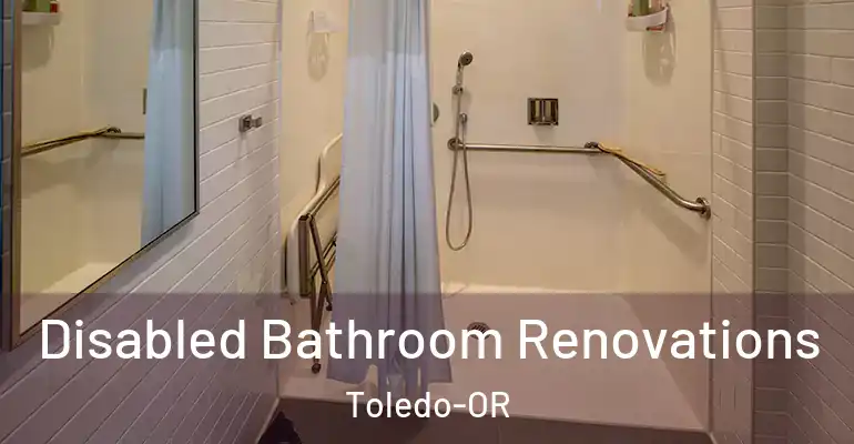 inner Bathroom imggen Disabled Bathroom Renovations Toledo-OR