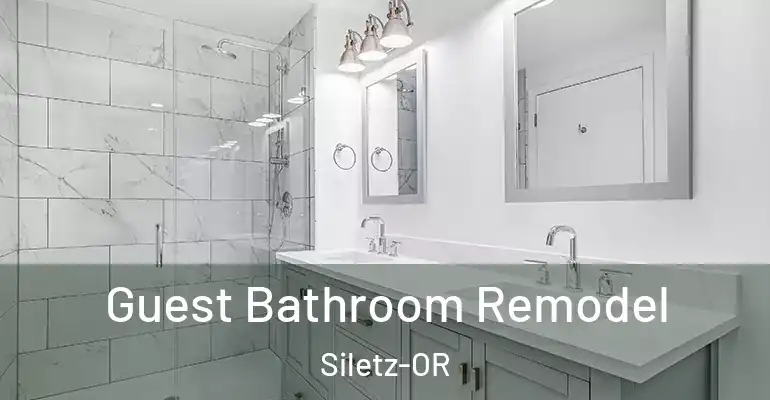 inner Bathroom imggen Guest Bathroom Remodel Siletz-OR
