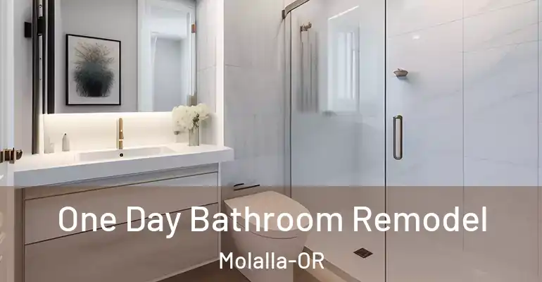 inner Bathroom imggen One Day Bathroom Remodel Molalla-OR