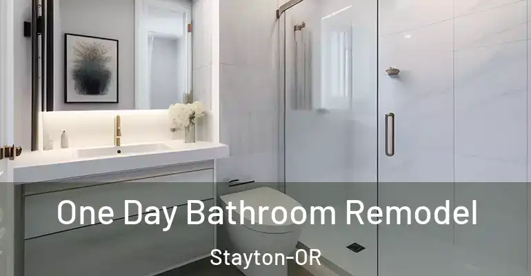 inner Bathroom imggen One Day Bathroom Remodel Stayton-OR