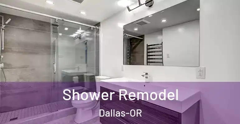 inner Bathroom imggen Shower Remodel Dallas-OR