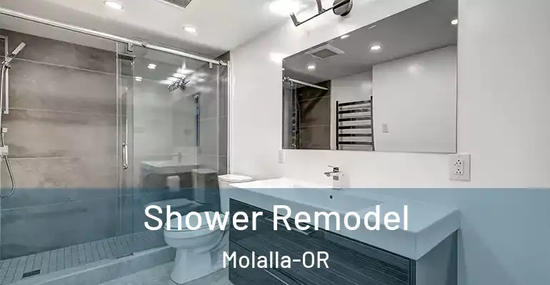 inner Bathroom imggen Shower Remodel Molalla-OR