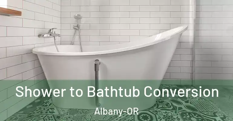 inner Bathroom imggen Shower to Bathtub Conversion Albany-OR