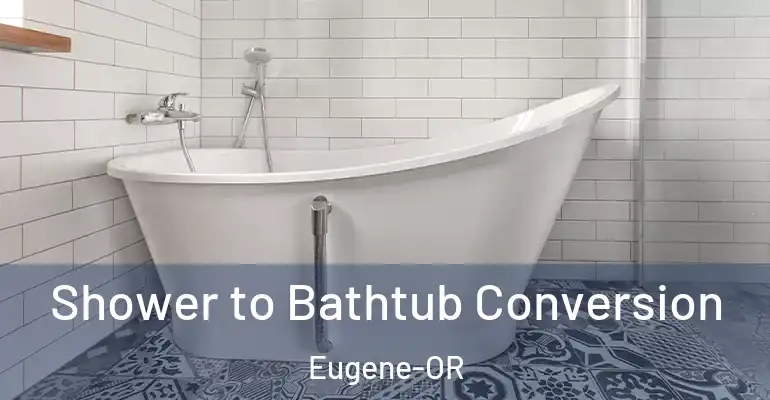 inner Bathroom imggen Shower to Bathtub Conversion Eugene-OR