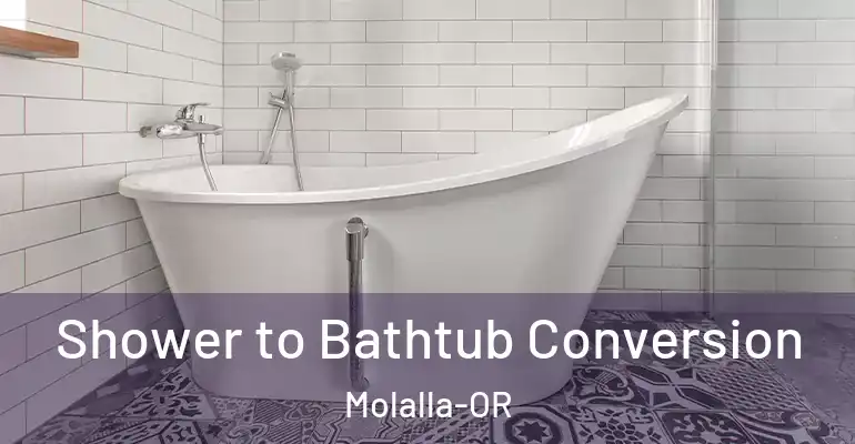 inner Bathroom imggen Shower to Bathtub Conversion Molalla-OR