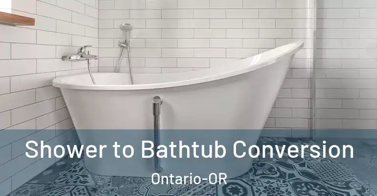 inner Bathroom imggen Shower to Bathtub Conversion Ontario-OR