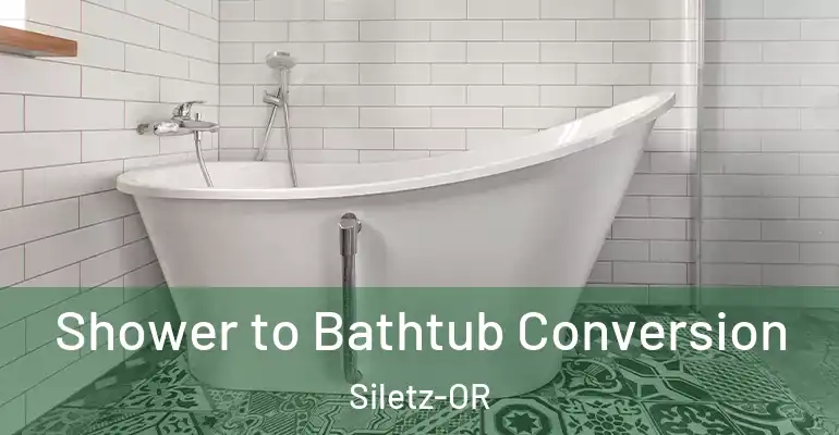 inner Bathroom imggen Shower to Bathtub Conversion Siletz-OR