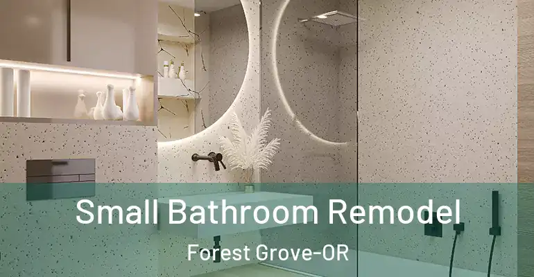 inner Bathroom imggen Small Bathroom Remodel Forest Grove-OR