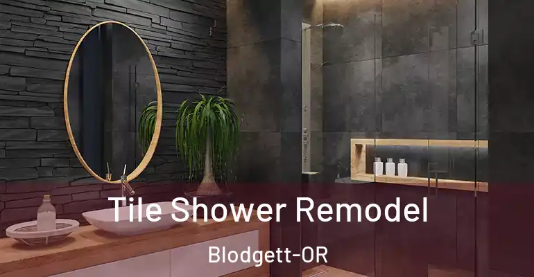 inner Bathroom imggen Tile Shower Remodel Blodgett-OR
