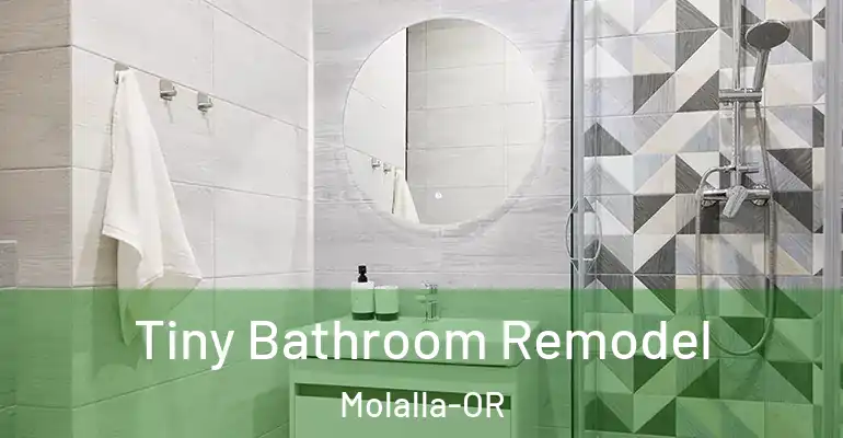 inner Bathroom imggen Tiny Bathroom Remodel Molalla-OR