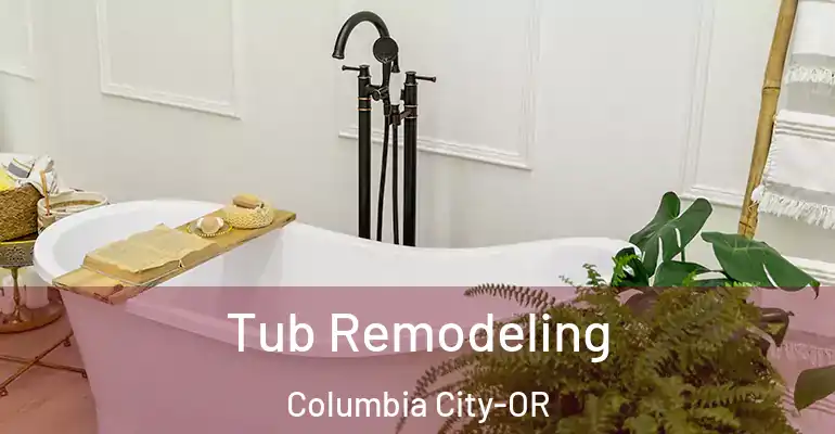 inner Bathroom imggen Tub Remodeling Columbia City-OR