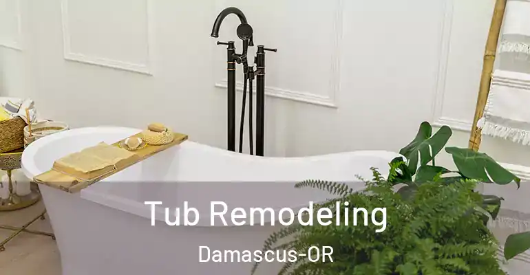 inner Bathroom imggen Tub Remodeling Damascus-OR