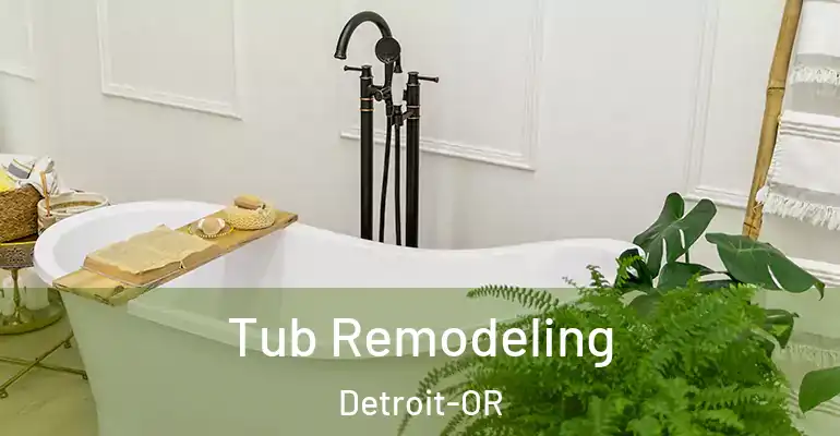 inner Bathroom imggen Tub Remodeling Detroit-OR