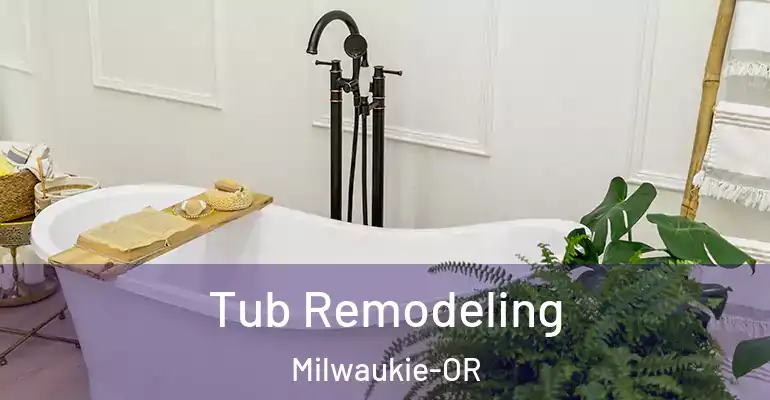 inner Bathroom imggen Tub Remodeling Milwaukie-OR