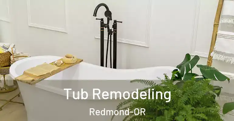 inner Bathroom imggen Tub Remodeling Redmond-OR