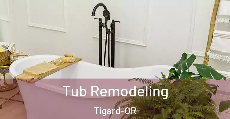 inner Bathroom imggen Tub Remodeling Tigard-OR
