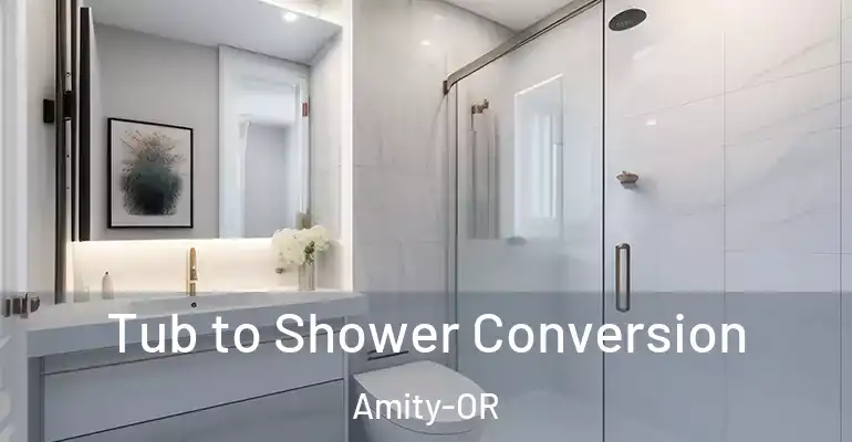 inner Bathroom imggen Tub to Shower Conversion Amity-OR