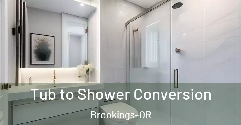 inner Bathroom imggen Tub to Shower Conversion Brookings-OR