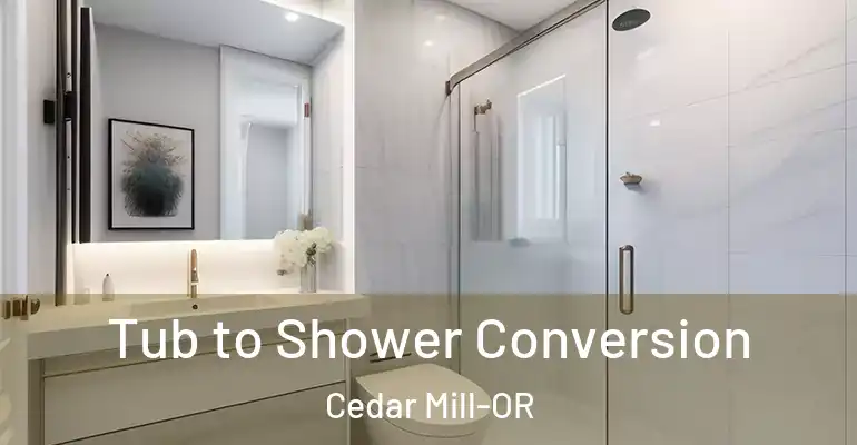 inner Bathroom imggen Tub to Shower Conversion Cedar Mill-OR