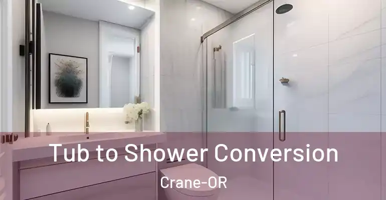 inner Bathroom imggen Tub to Shower Conversion Crane-OR