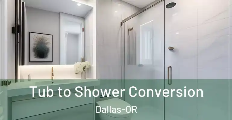 inner Bathroom imggen Tub to Shower Conversion Dallas-OR