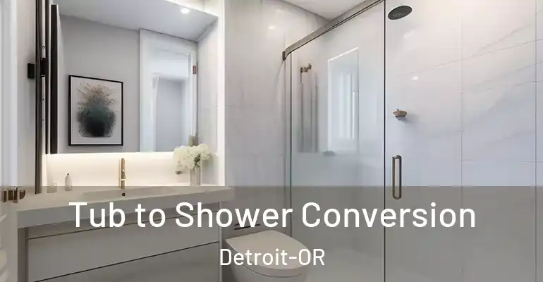 inner Bathroom imggen Tub to Shower Conversion Detroit-OR