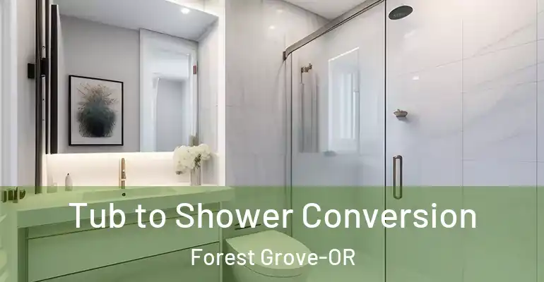 inner Bathroom imggen Tub to Shower Conversion Forest Grove-OR