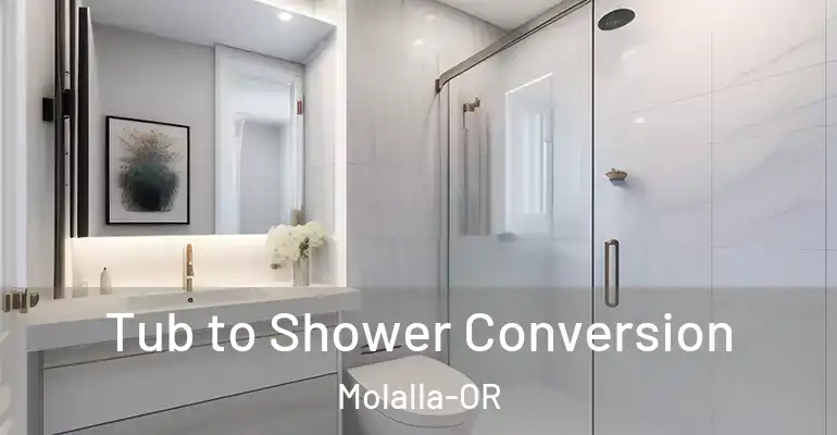 inner Bathroom imggen Tub to Shower Conversion Molalla-OR