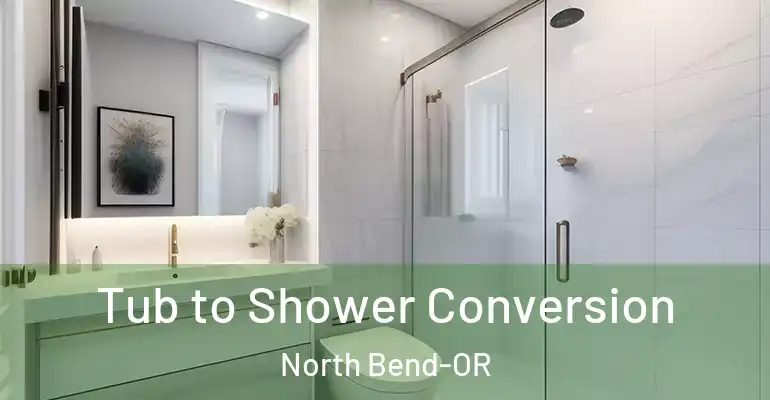 inner Bathroom imggen Tub to Shower Conversion North Bend-OR