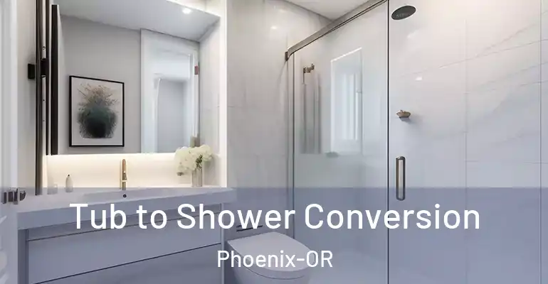 inner Bathroom imggen Tub to Shower Conversion Phoenix-OR