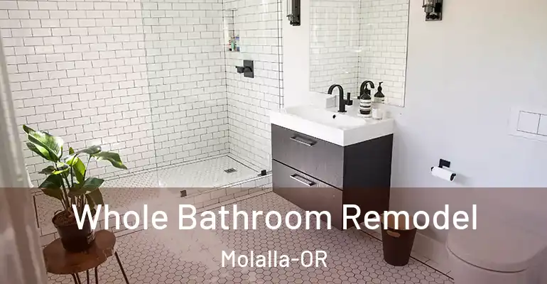 inner Bathroom imggen Whole Bathroom Remodel Molalla-OR